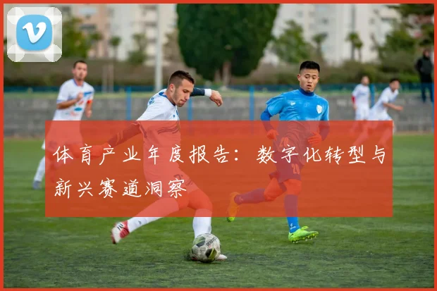 体育产业年度报告:数字化转型与新兴赛道洞察
