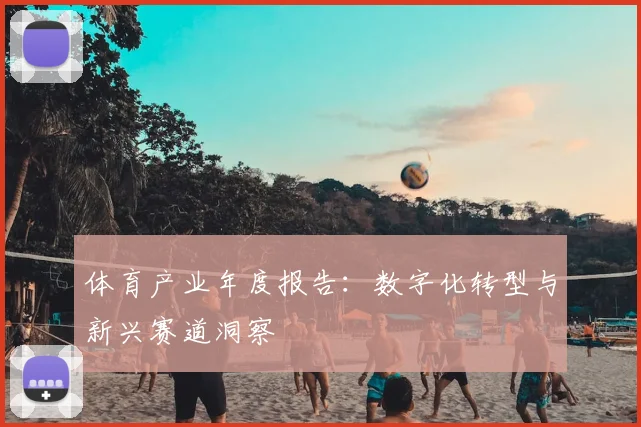 体育产业年度报告：数字化转型与新兴赛道洞察
